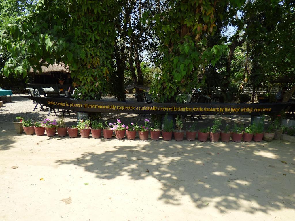 Chitwan Gaida Lodge Sauraha Luaran gambar
