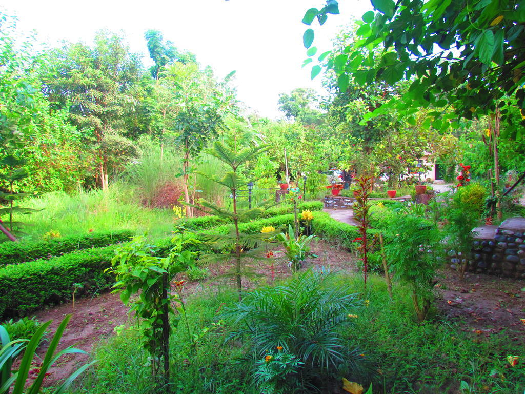 Chitwan Gaida Lodge Sauraha Luaran gambar