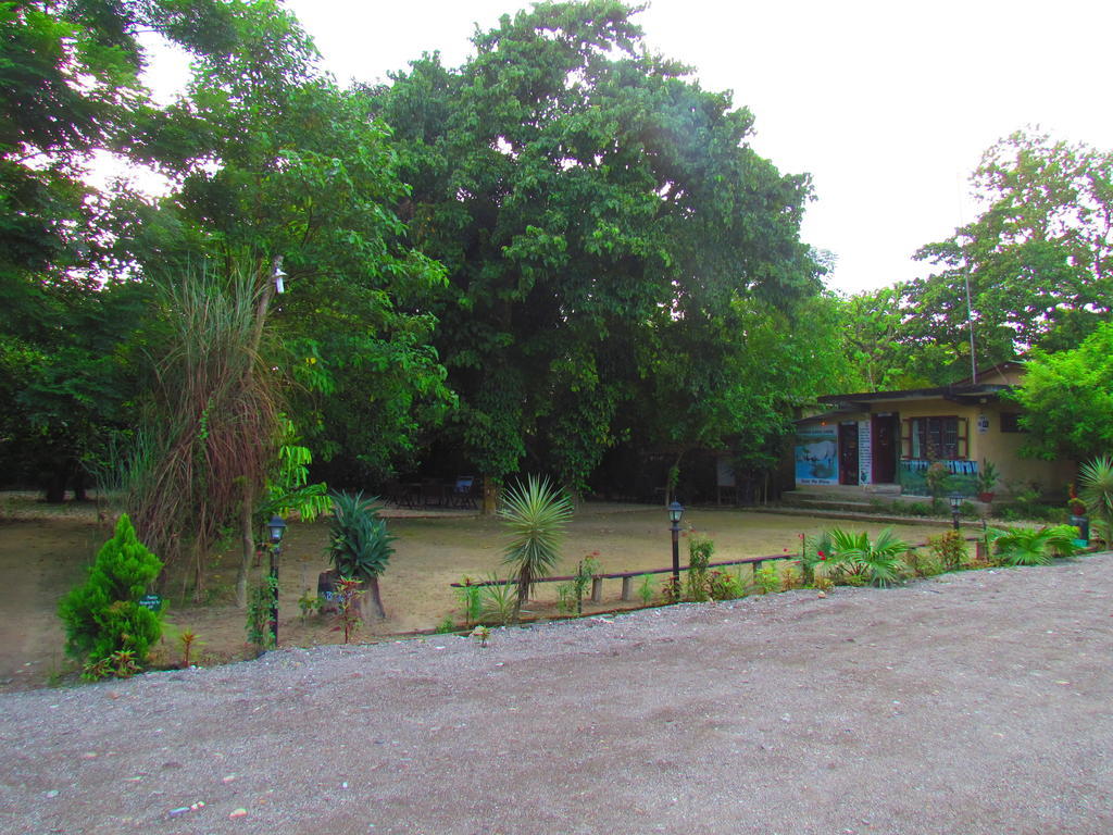 Chitwan Gaida Lodge Sauraha Luaran gambar