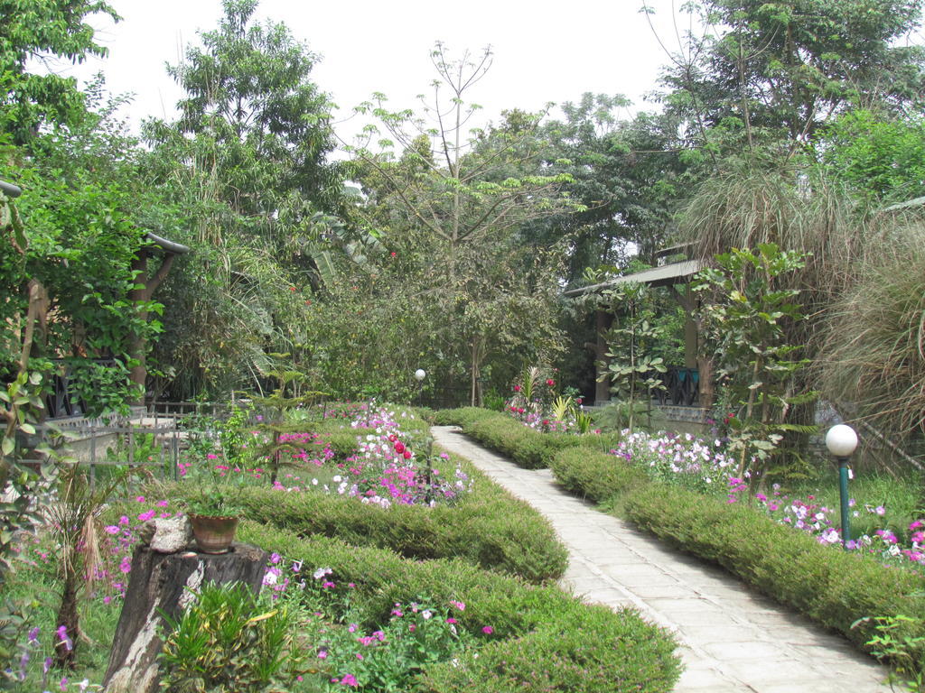 Chitwan Gaida Lodge Sauraha Luaran gambar