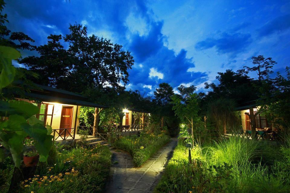 Chitwan Gaida Lodge Sauraha Luaran gambar