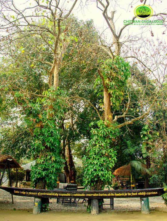 Chitwan Gaida Lodge Sauraha Luaran gambar