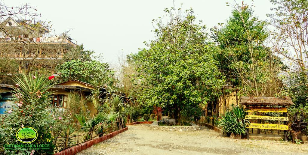 Chitwan Gaida Lodge Sauraha Luaran gambar